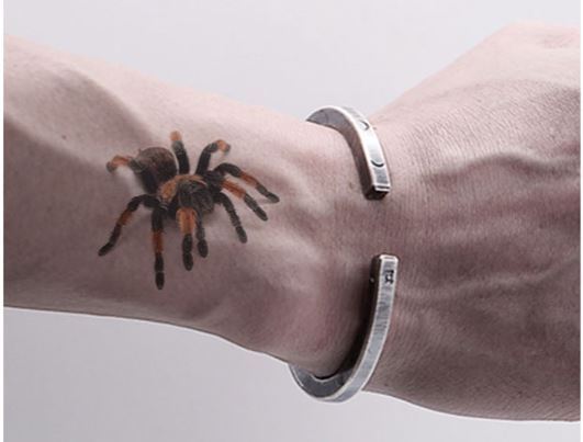 3D temporär Tattoo Spinne Vogelspinne