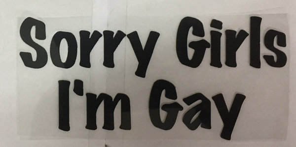 Autosticker Sorry girls i'm gay