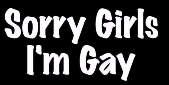Autosticker Sorry girls i'm gay