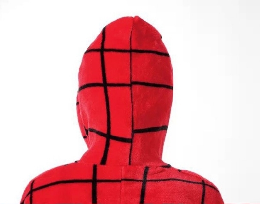 Fasnachtskostüm Spiderman Spinne