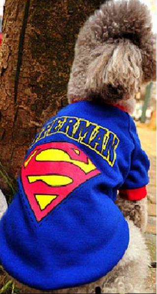 Hundeoverall Jacke Superman