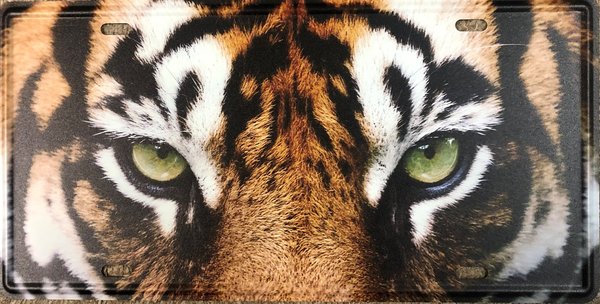 Tiger Augen Blechschild Metallschild