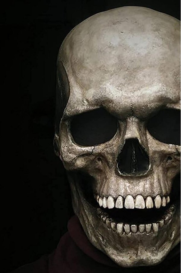 Totenkopfmaske Fasnacht Halloween Zombie Masque Schädel Head